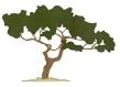 Tree Logo